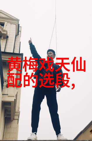 黄梅戏和氏璧