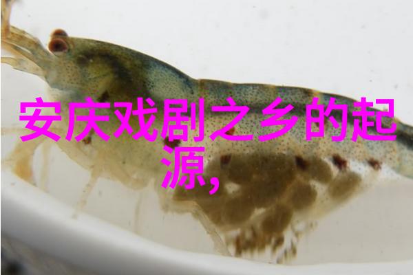 严凤英永远和黄梅戏同在纪念严凤英诞辰七十周年