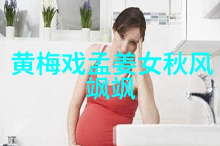 第六届黄梅戏艺术节筹委会召开第二次会议