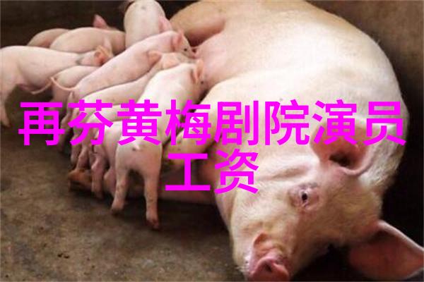 黄梅戏演员潘文庆介绍