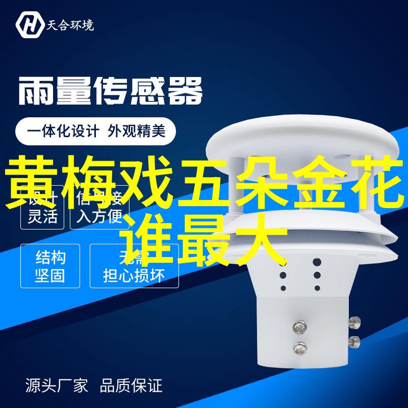 黄梅戏演员孙雪莲介绍