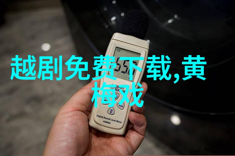 黄梅戏一代宗师严凤英