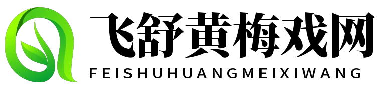 飞舒黄梅戏网